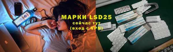 ГАЛЛЮЦИНОГЕННЫЕ ГРИБЫ Костерёво
