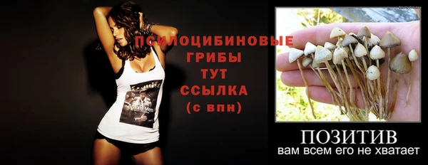 ГАЛЛЮЦИНОГЕННЫЕ ГРИБЫ Костерёво