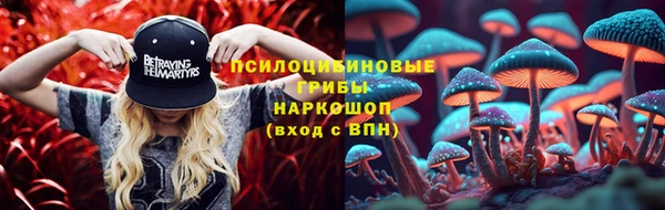 ГАЛЛЮЦИНОГЕННЫЕ ГРИБЫ Костерёво