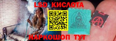 прущие грибы Заволжье