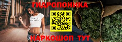гидропоника Ирбит