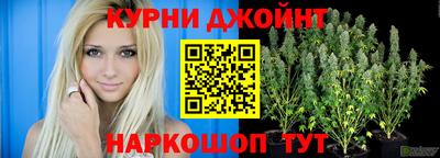 гидропоника Ирбит
