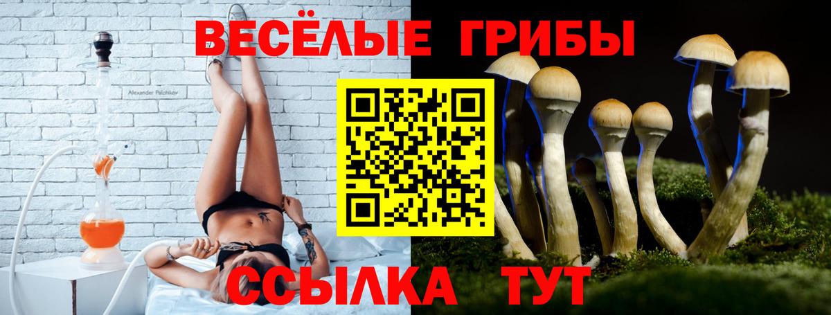 Галлюциногенные грибы Magic Shrooms Красный Сулин